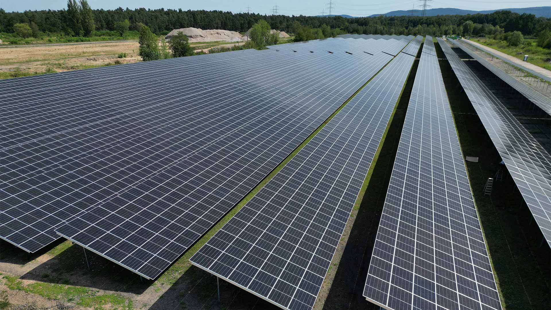 Reihen von Solarmodulen auf einer Freifläche.